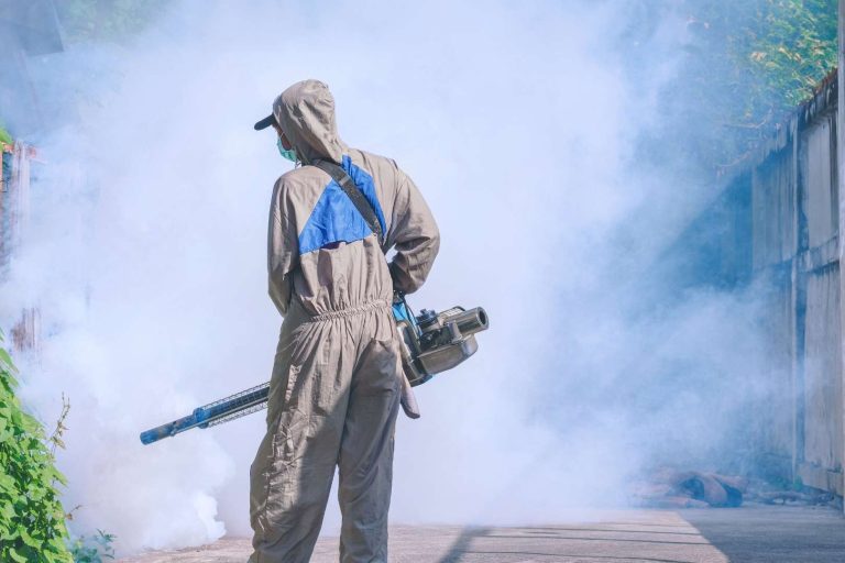 La importancia de los servicios de una empresa de control de plagas