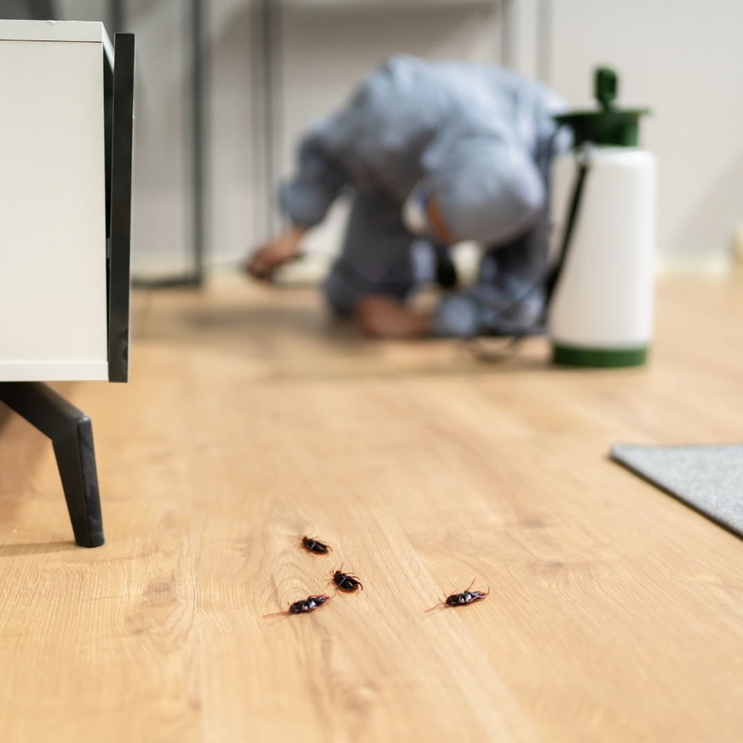 Exterminador de plagas